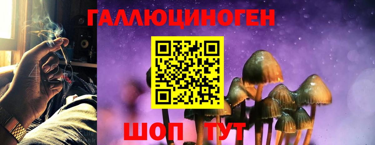 Галлюциногенные грибы Psilocybine cubensis  Вход с VPN  Сланцы 